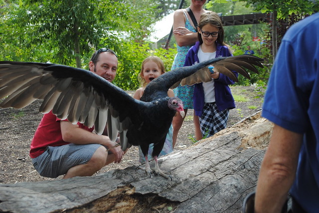 eva carlston Salt Lake City tracy aviary vulture volunteering
