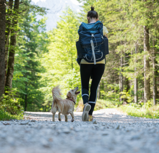 Adolescent walking a wooded trail with a dog, showing emotional growth through nature for teens in a supportive, calming environment.